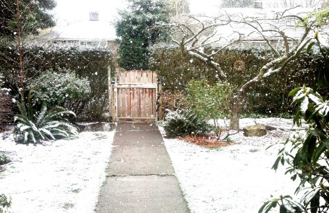 IMG_20130322_100118_887