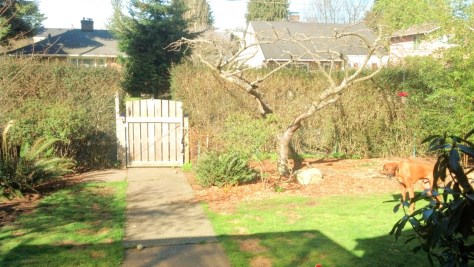 The weather is as changeable as this disease.