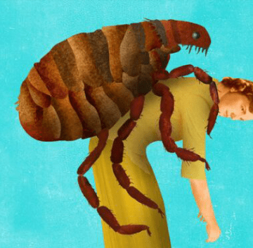 Screenshot_2013-07-08-09-19-33