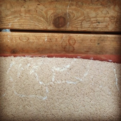 Slug tracks on the dog bed on the porch. Ew.