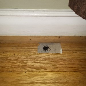 IMG_20141117_144906 (2)