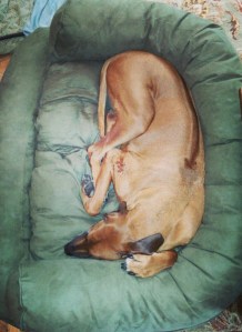 IMG_20141120_205206-1