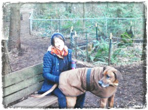 NCM_0042_20141231005400879