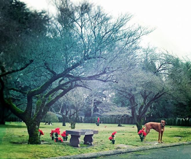 10153765_10152436013152811_9205933814512292890_n