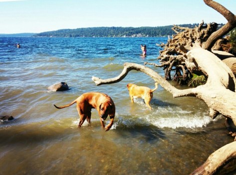 IMG_20150607_184415-1-1