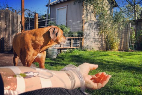 Getting fluids in the garden.