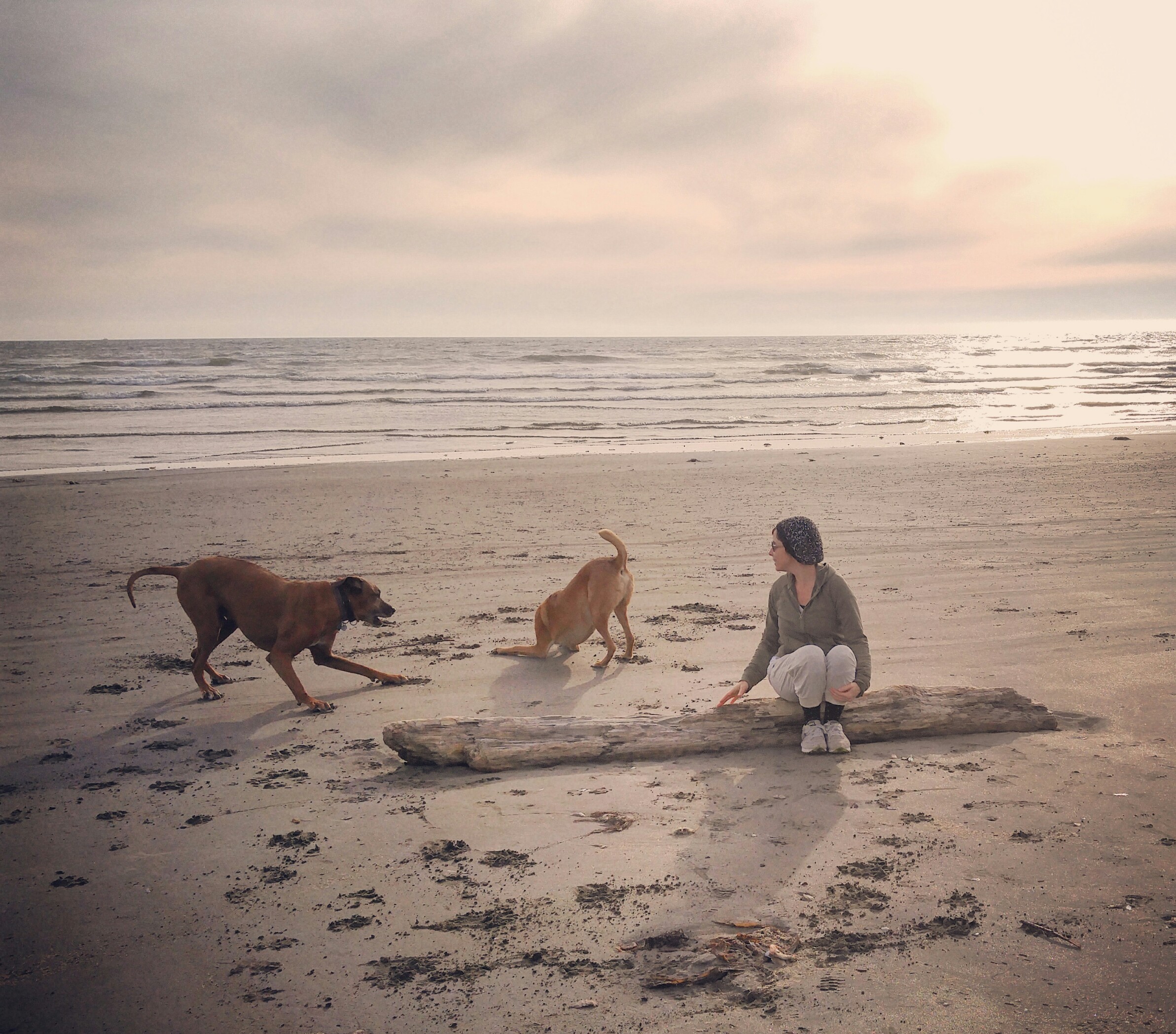 IMG_20160601_130740-1