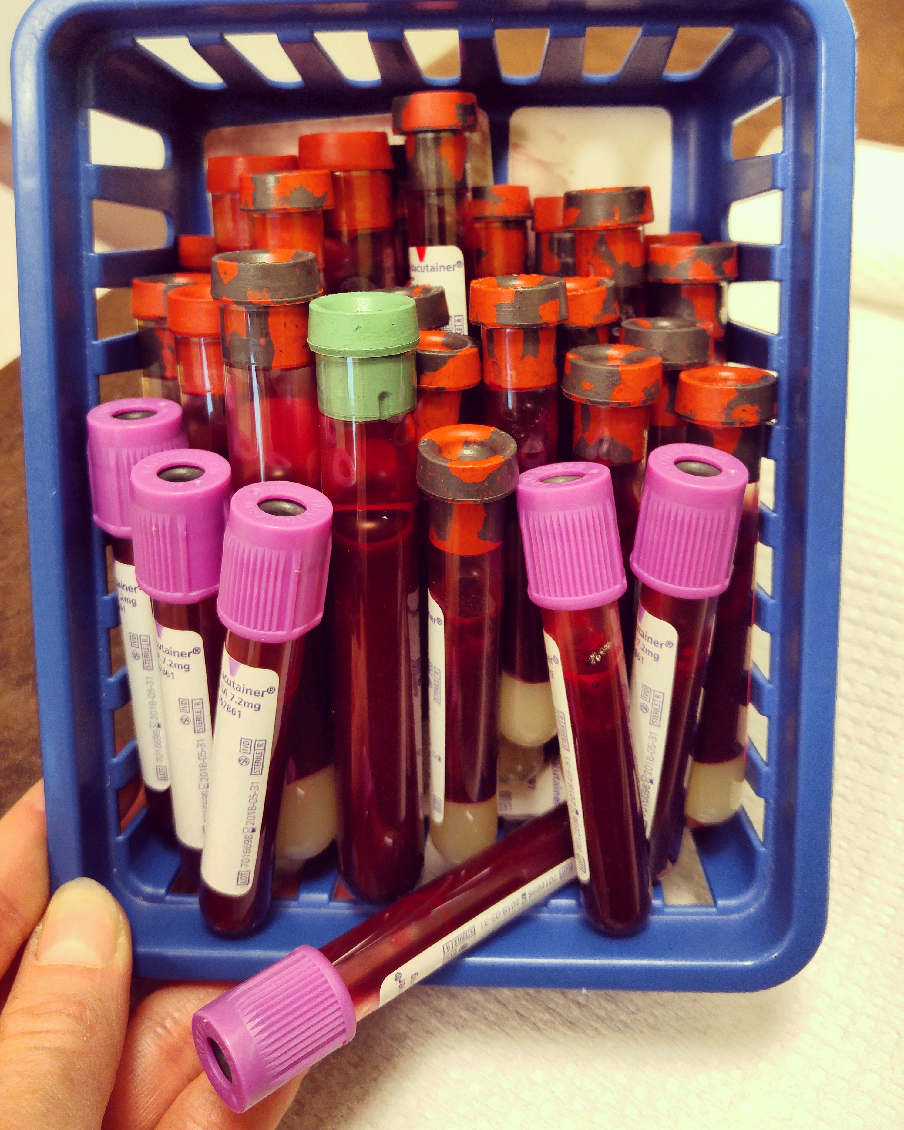 IMG_20170517_163040_023