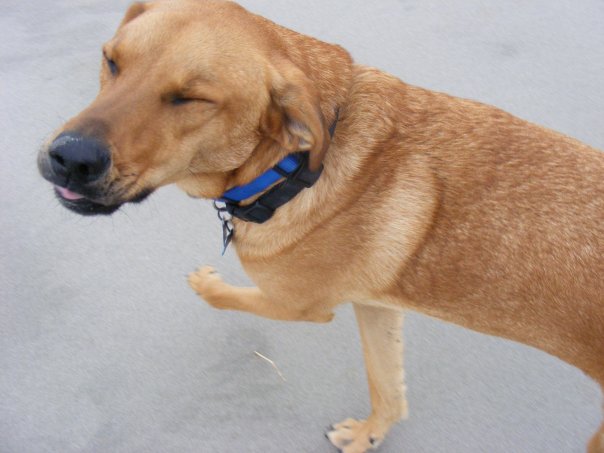 2972_81534097810_1674077_n