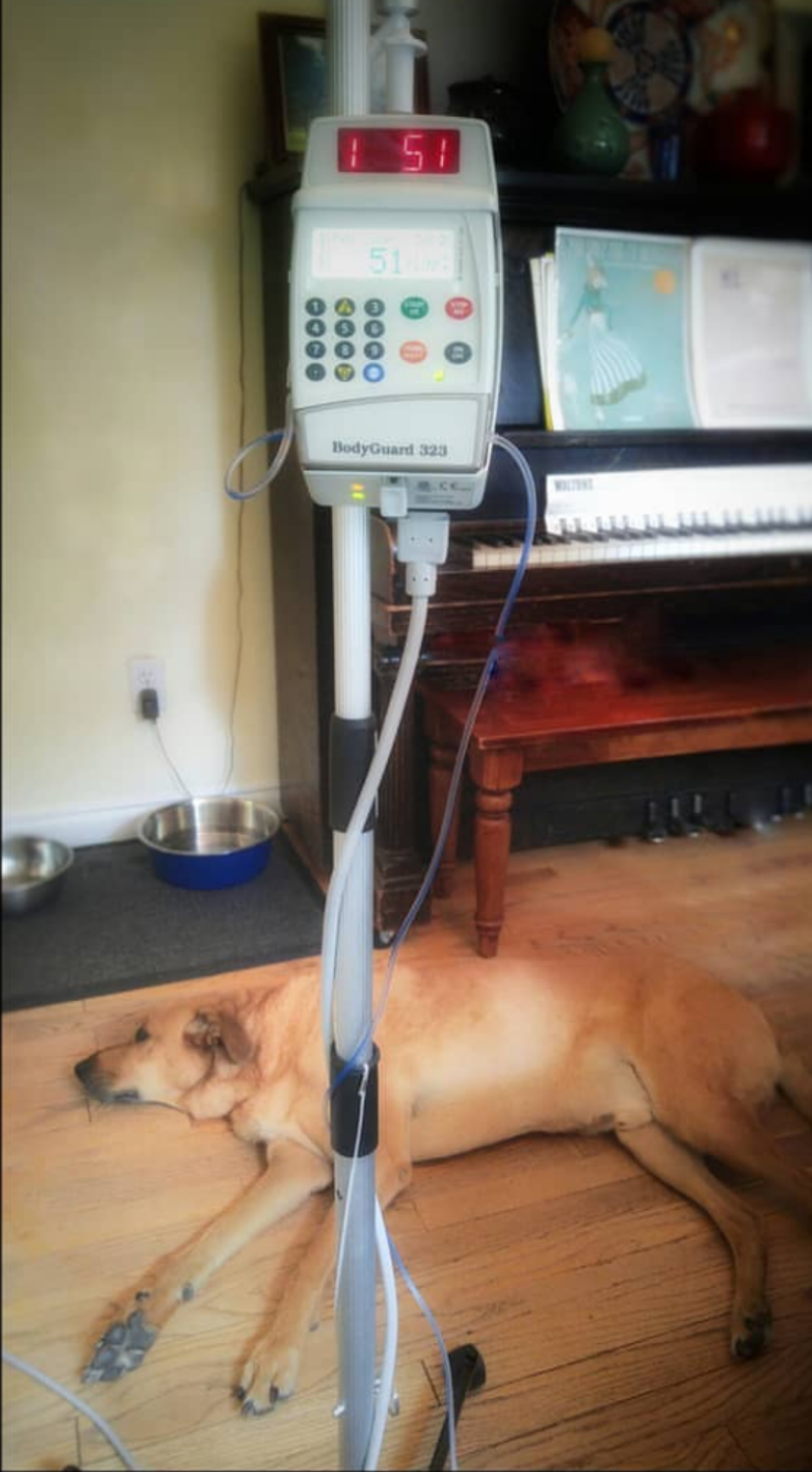 Screenshot_20200724-160707