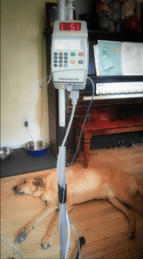 Screenshot_20200724-160707